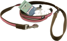 Smoochy Poochy Baby Pink & Brown 5/8 x 6 Hand Free Leash