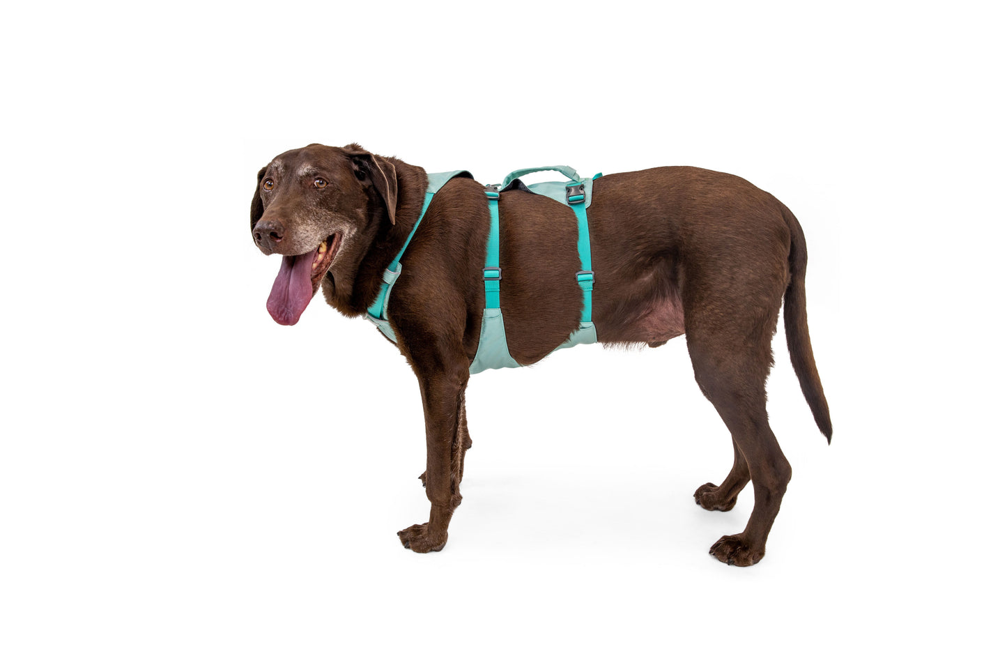 RUFFWEAR Sage Green Flagline Harness