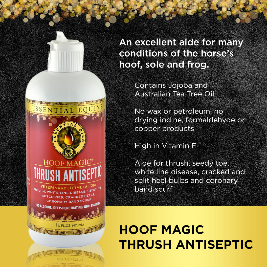 Essential Equine Hoof Magic Thrush Antiseptic 473ml