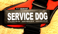 Julius K9 Service Dog Patch