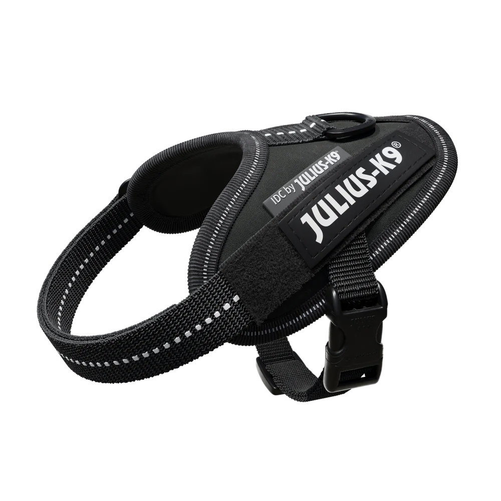 Julius K9 Black IDC Power Harness