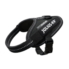 Julius K9 Black IDC Power Harness