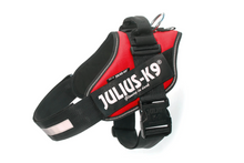 Julius K9 Red IDC Power Harness