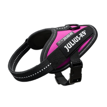 Julius K9 Pink IDC Power Harness