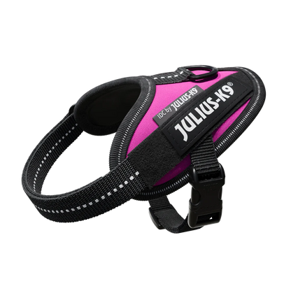 Julius K9 🍁Pink IDC Power Harness
