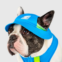 Canada Pooch Chillseeker Cooling Bucket Hat