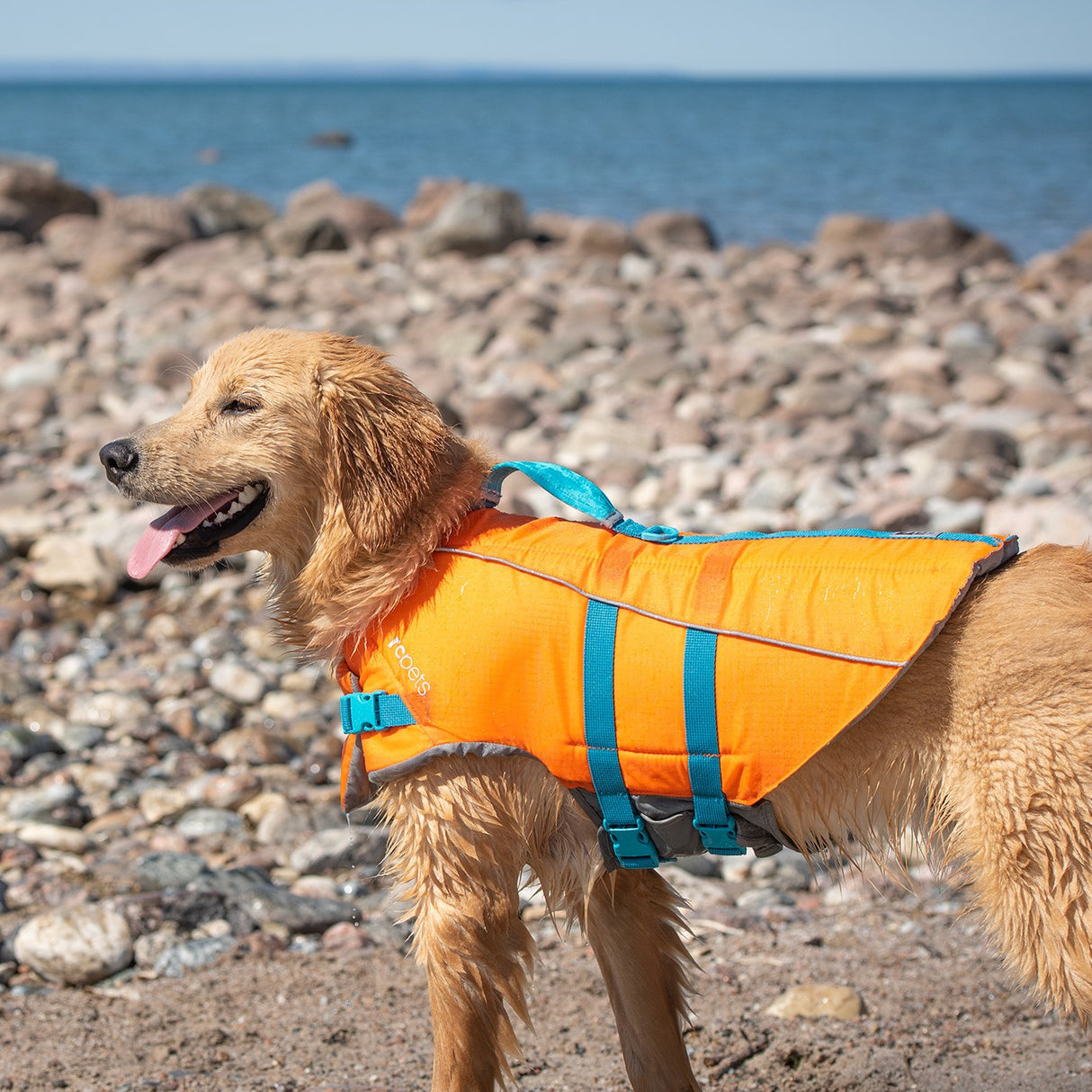 RC Pets Tidal Life Vest