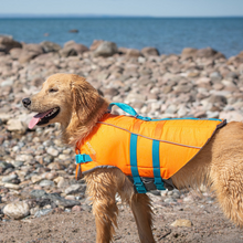 RC Pets Tidal Life Vest