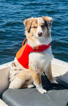 RUFFWEAR Red Sumac Float Coat