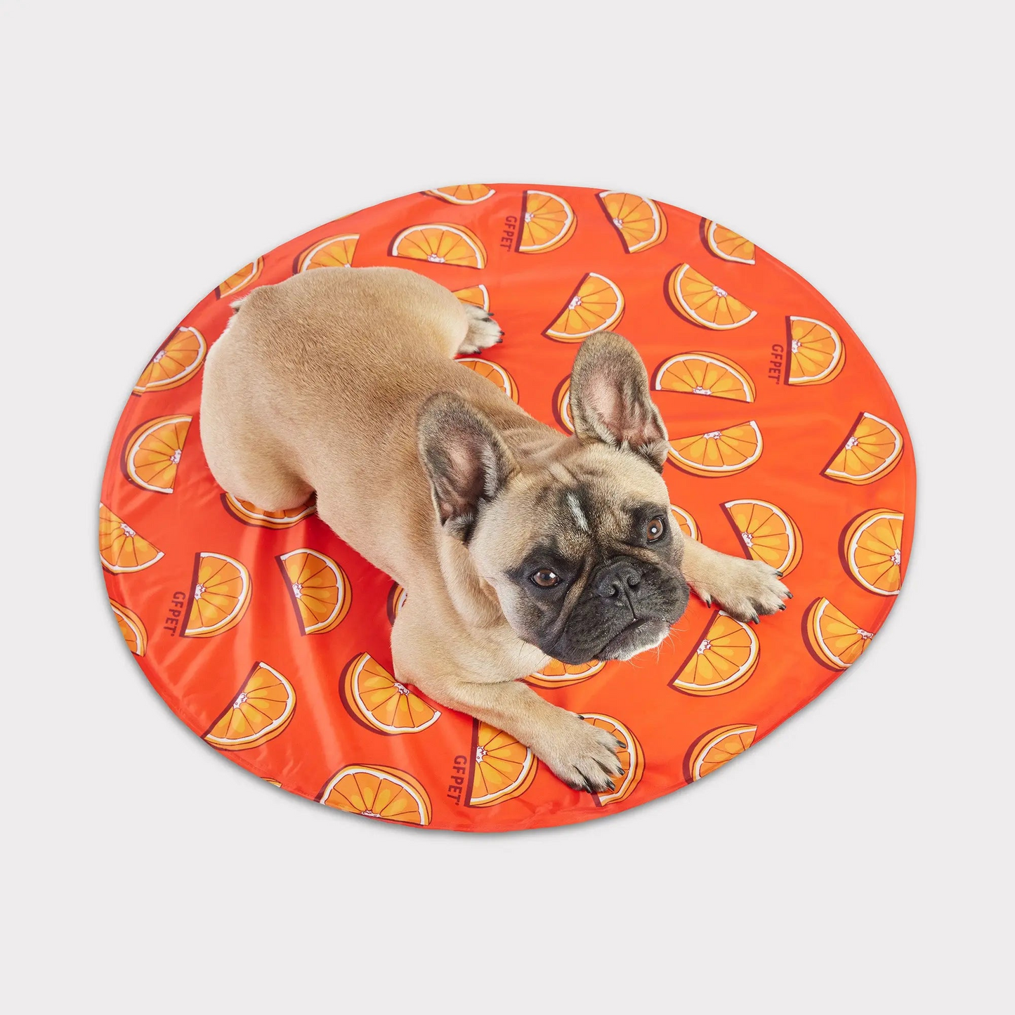 GF Pet Ice Mat in Orange Slices