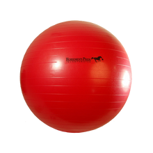 Horsemans Pride 25" Mega Ball Red