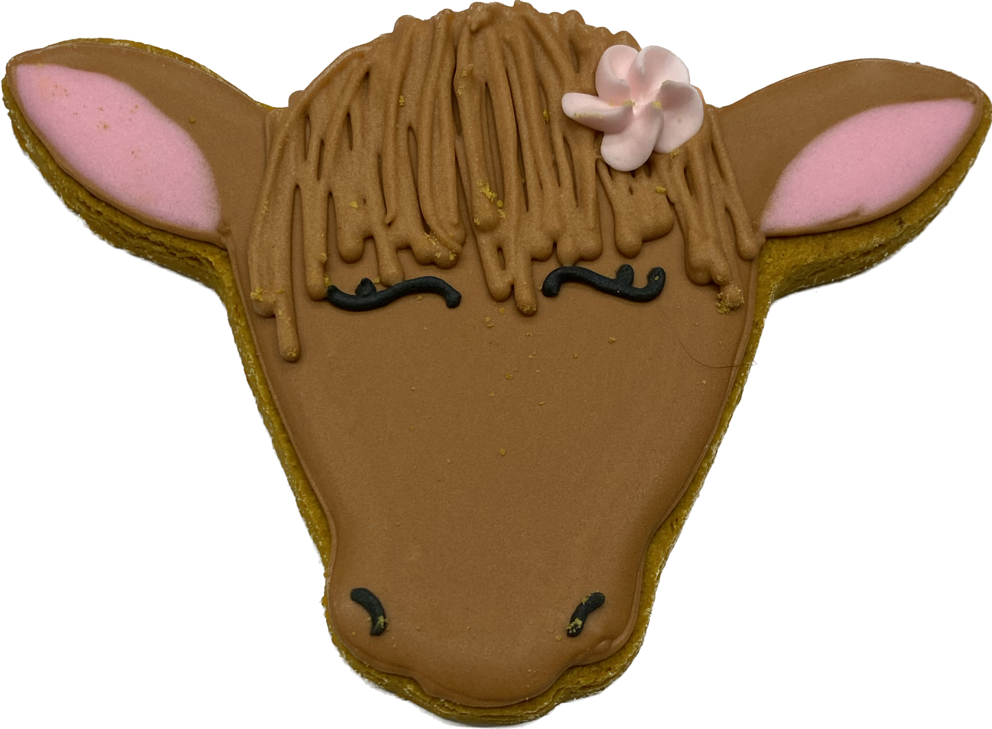 HappyNess🍁 Highland Cow Gourmet Dog Cookie