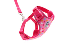 RC Pets Lil Hearts Adventure Kitty Harness