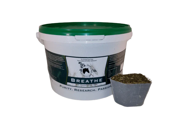 Herbs for Horses Breathe No Garlic 1KG Mash ~25days