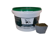 Herbs for Horses Breathe No Garlic 1KG Mash ~25days