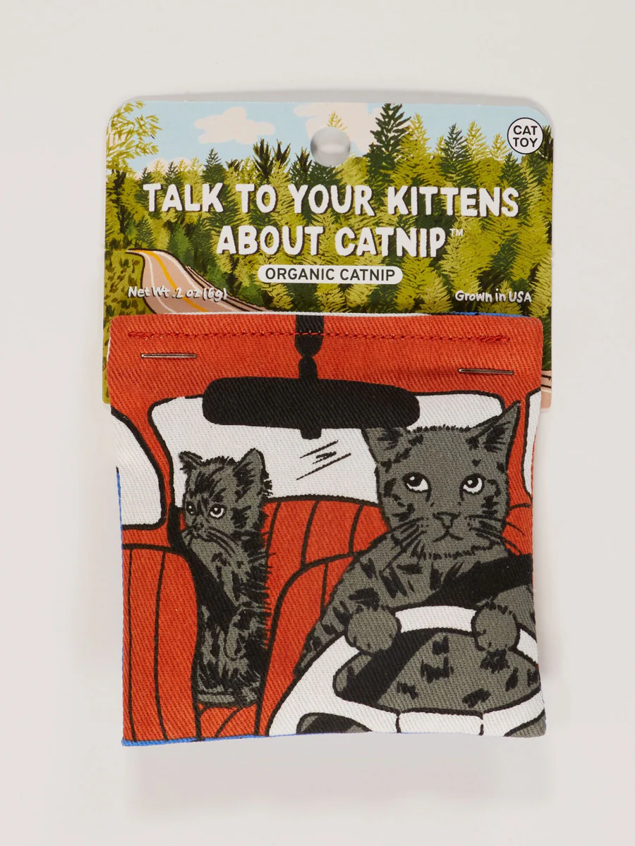 Blue Q Talk To Your Kittens About Catnip  Organic Catnip Pouch