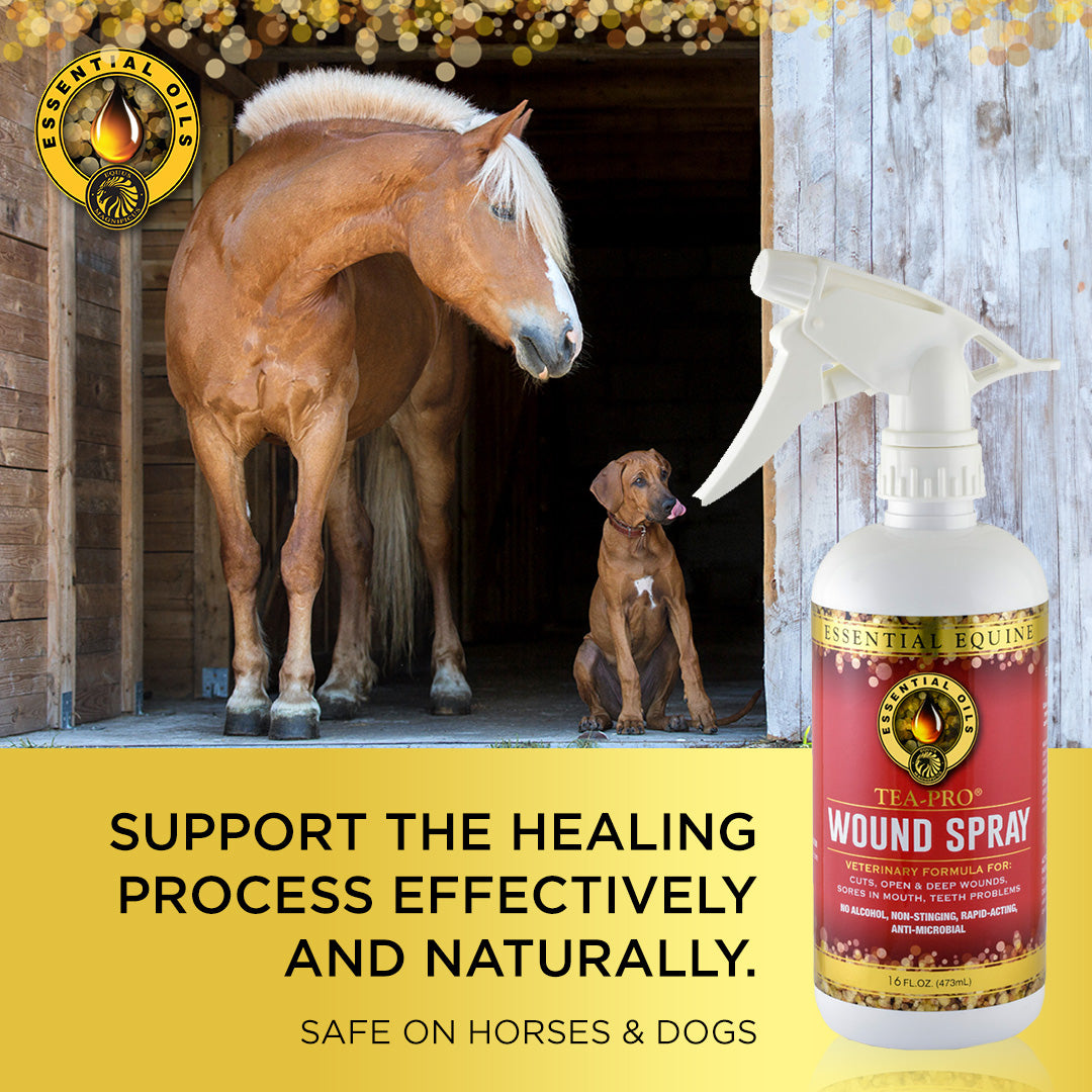 Essential Equine Tea-Pro Wound Spray 473ml