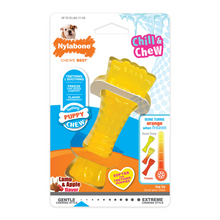 Nylabone Chill & Chew Freezer Bone for Puppies