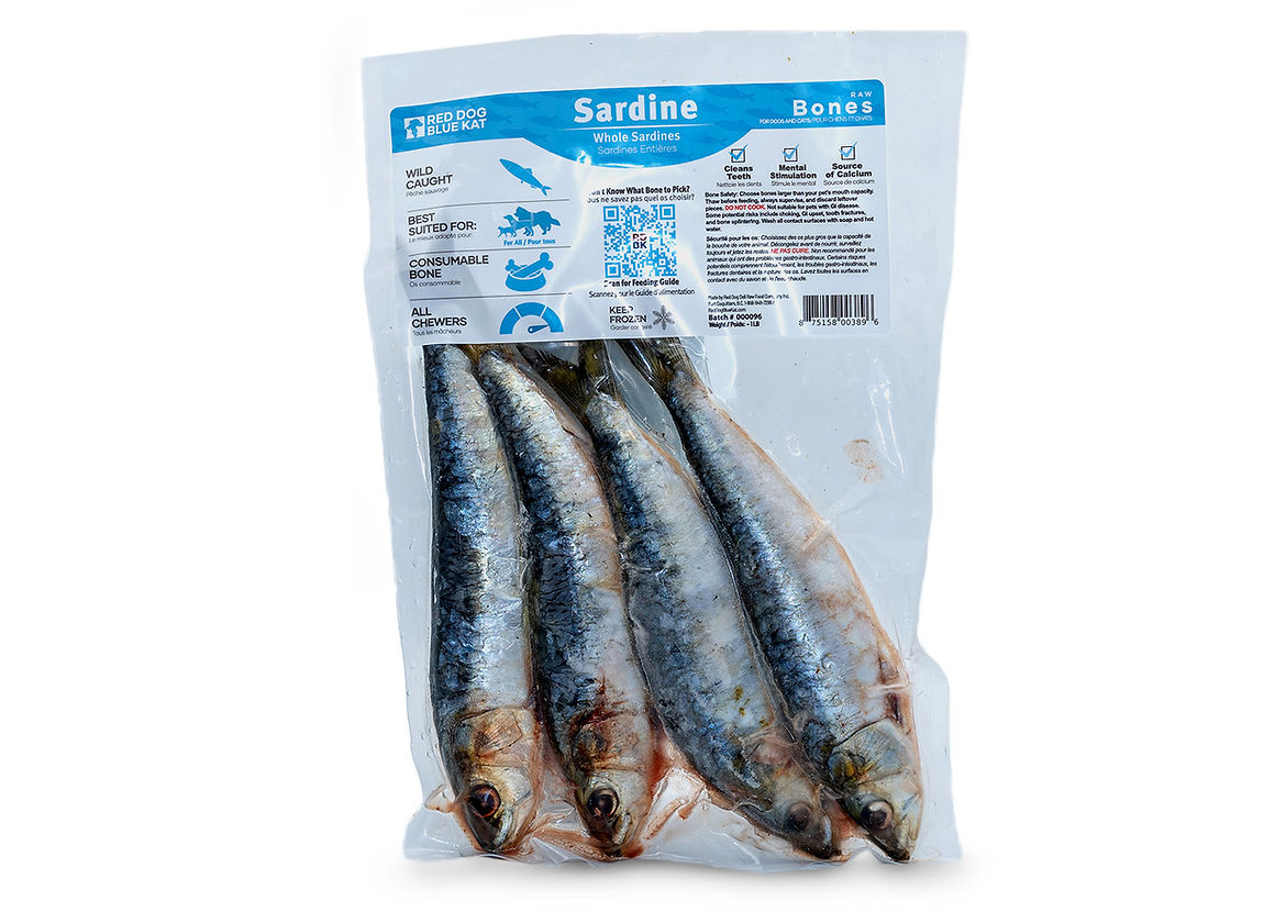 Red Dog Blue Kat Whole Sardines Large 4/PK