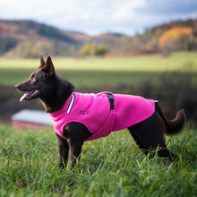 Chilly Dogs Bubblegum Standard Fleece Sweater