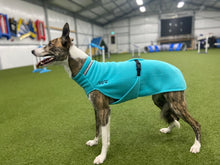 Chilly Dogs Arctic Blue Long and Lean Fleece Sweater