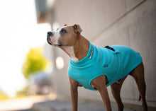 Chilly Dogs Arctic Blue Standard Fleece Sweater