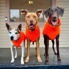 Chilly Dogs Blaze Orange Long & Lean Fleece Sweater