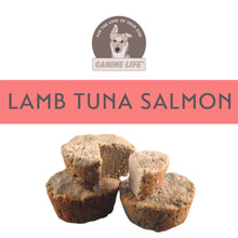 Canine Life Lamb, Tuna and Salmon Variety Pack  - 20 Muffins