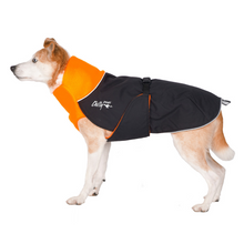 Chilly Dogs Blaze Orange Long & Lean Great White North Coat