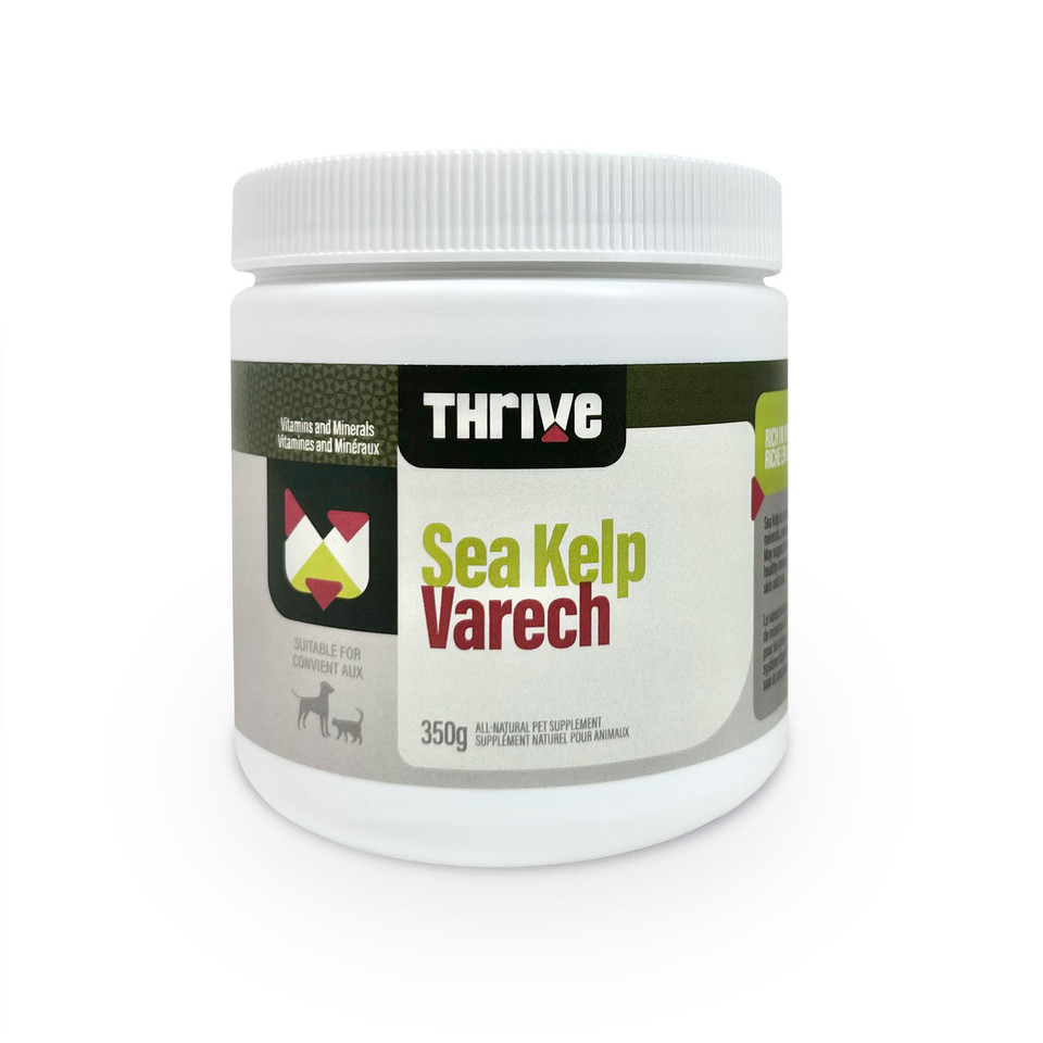 Big Country Raw Thrive Sea Kelp 350g