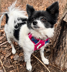 RUFFWEAR Hi & Light Alpenglow Pink Harness