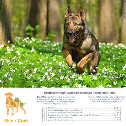 CannaBiscuit🍁 Skin & Coat Treats with Egg Shell Membrane 224g