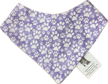 Colly's Creations Groovy Flowers Reversible Bandanna for Dogs
