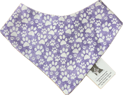 Colly's Creations Groovy Flowers Reversible Bandanna for Dogs