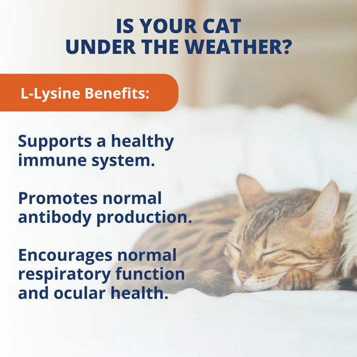 Under The Weather L-Lysine Soft Chews for Cats 90ct