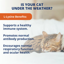 Under The Weather L-Lysine Soft Chews for Cats 90ct