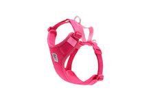 RC Pets Small Azalea Moto Control Harness