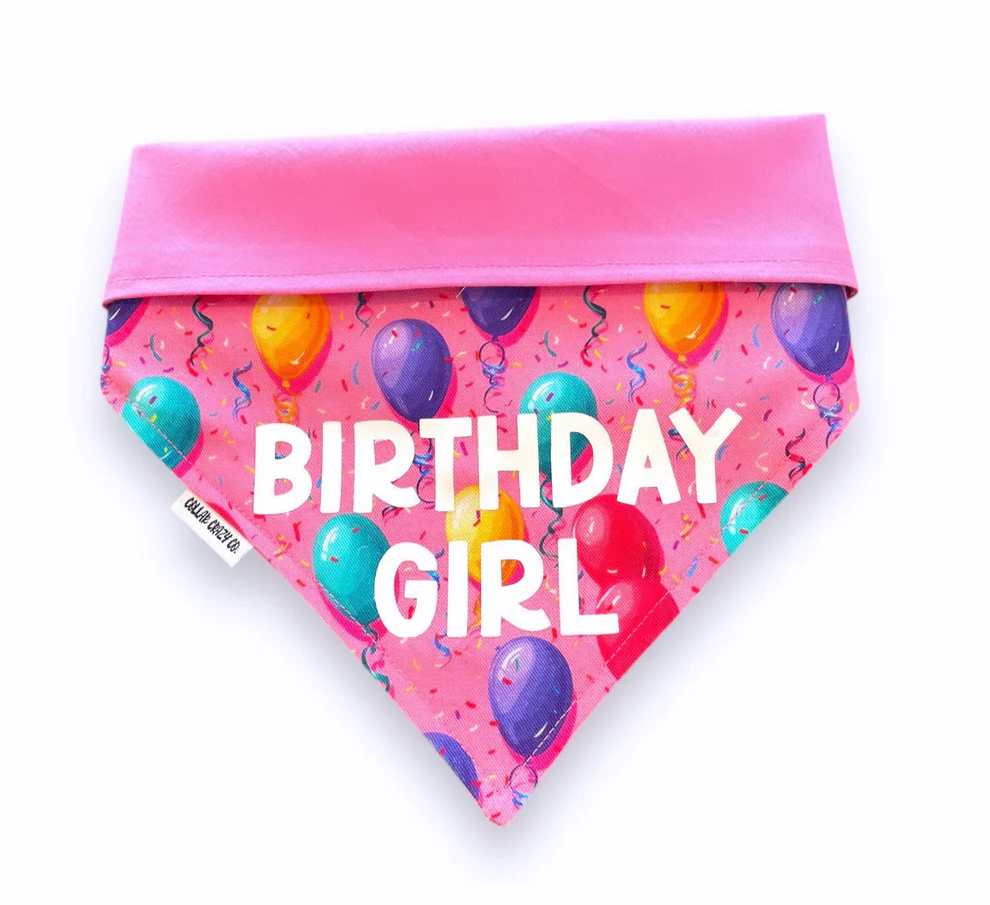 Collar Crazy Co 🍁Pink Happy Birthday Dog Bandanna