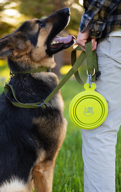 Messy Mutts 🍁Silicone Collapsible Bowl 1.75 Cups,