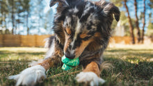 Ruffwear Blue Prism Toadstool Rubber Dog Toy