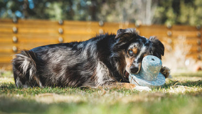 RUFFWEAR Moss Green Porcini Dog Toy