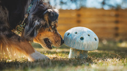 RUFFWEAR Moss Green Porcini Dog Toy