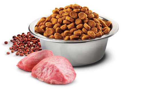 Farmina Weight Management Quinoa & Lamb Adult Mini for Dogs 2.5kg