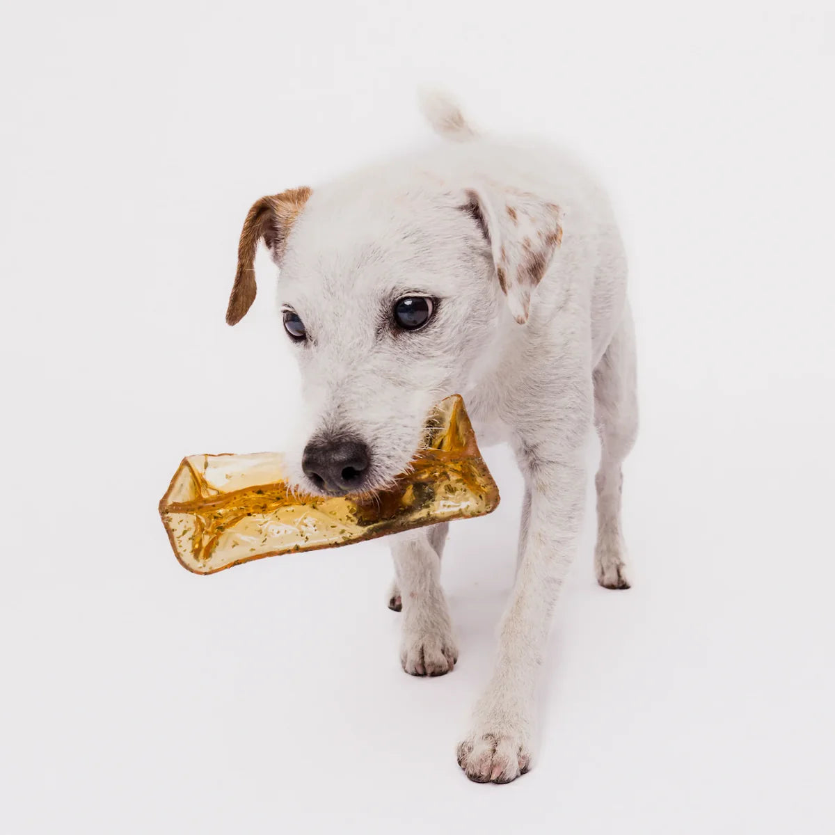 Wag & Bright Supply Co. 🍁Mighty Marrows Pork Parsley Collagen Chew Small