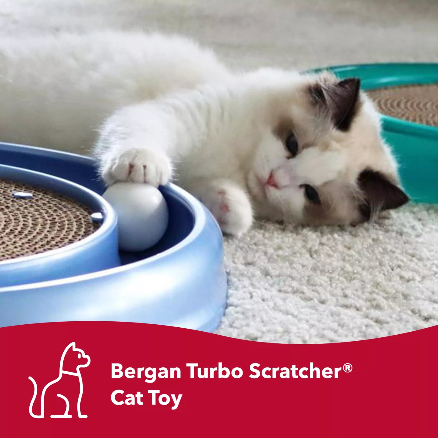 The  Turbo Scratcher