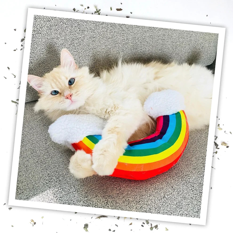 Meowijuana Get Kickin' Refillable Rainbow Kicker