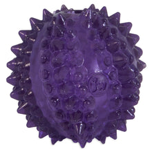 JW Bristl-ee Cactus Ball Puppy Chew Toy