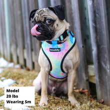 BCuddly Tye Dye Dog Harness