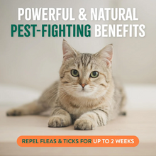 Tropiclean Shield Cat & Home 473ml Spray