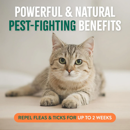 Tropiclean Shield Cat & Home 473ml Spray